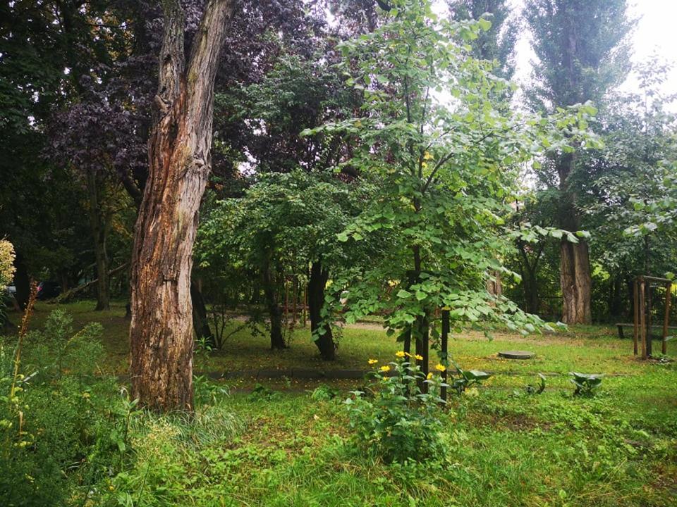 شقة Apartament Wroblewski غدانسك المظهر الخارجي الصورة